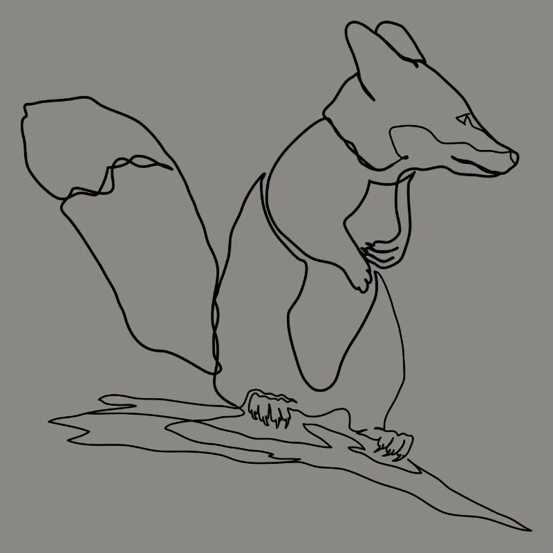 Fuchs Eichhörnchen Squirrel Fox