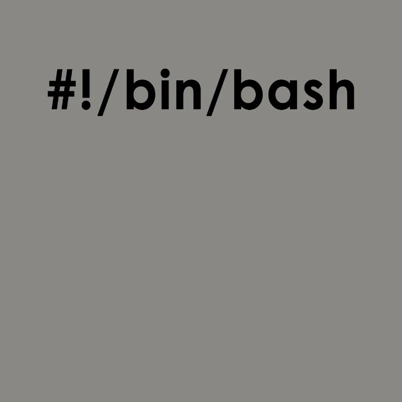 Programmeur Admin Devops Linux Bash