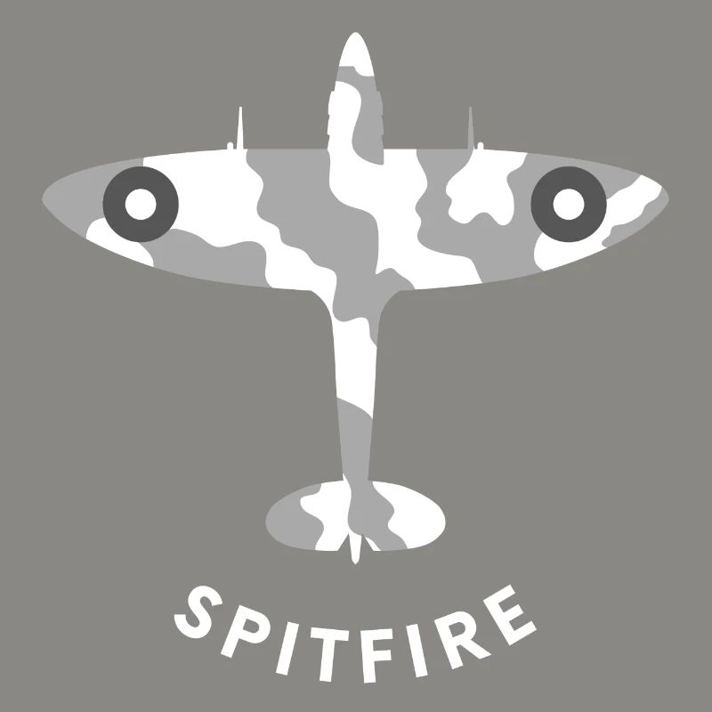 Spitfire fighter plane