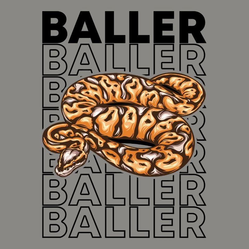 Ball Python 80's Style Baller Royal Python Snake