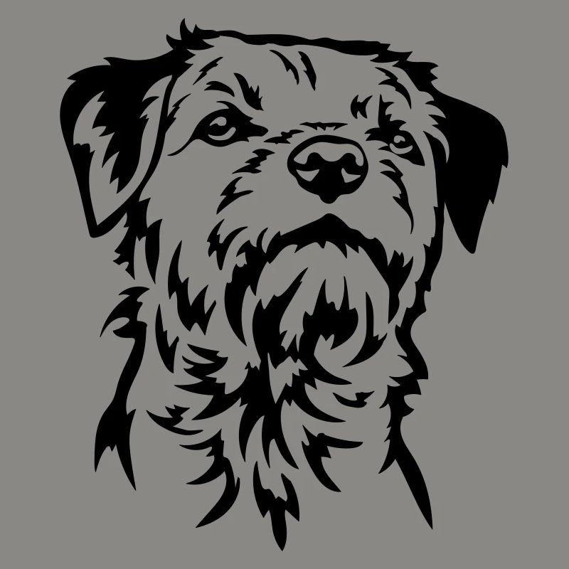 Border Terrier Head