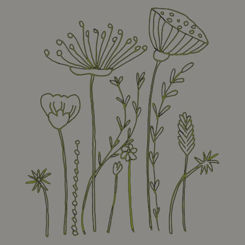 Fleurs séchées