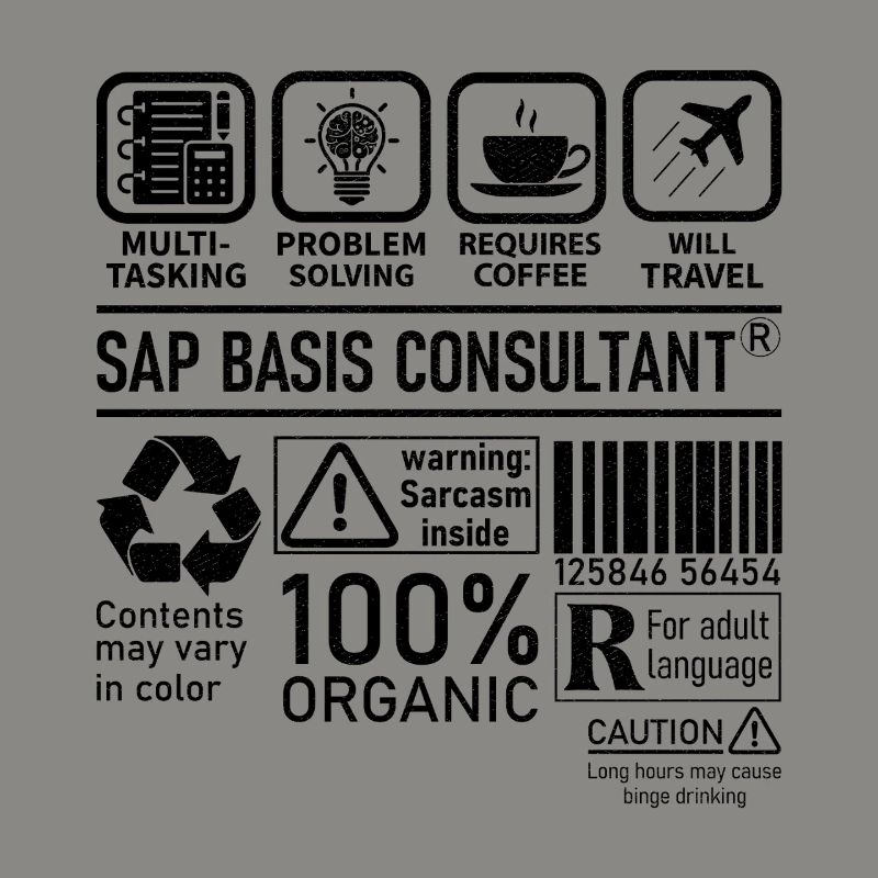 Sap Basis Consultant multi tasking problem solving