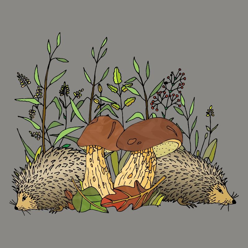 Hedgehogs