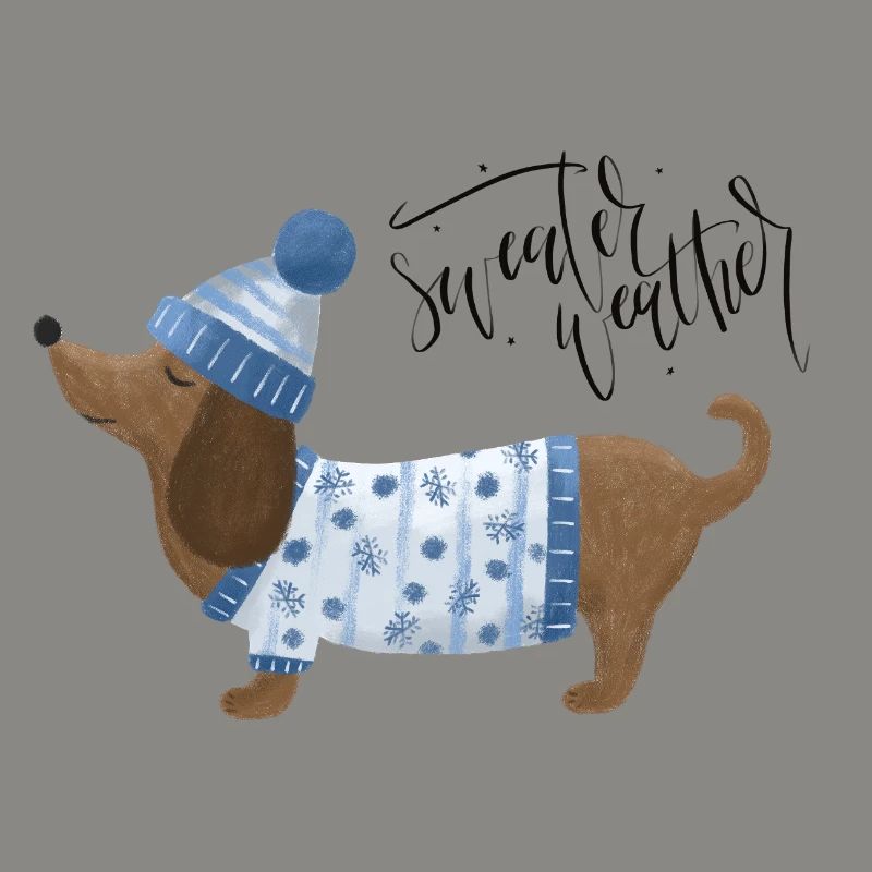 Teckel avec pull et chapeau Pull Météo bleu