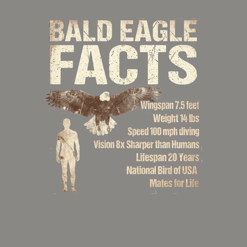 Bald Eagle Facts Bald Eagle Info
