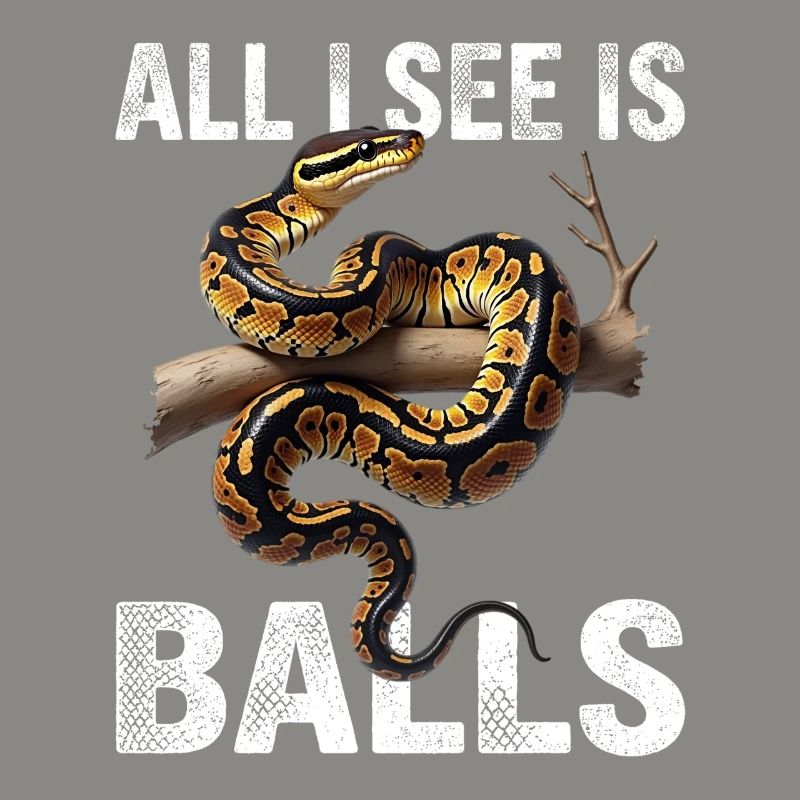 Python roi Serpents Amateurs de terrarium Python