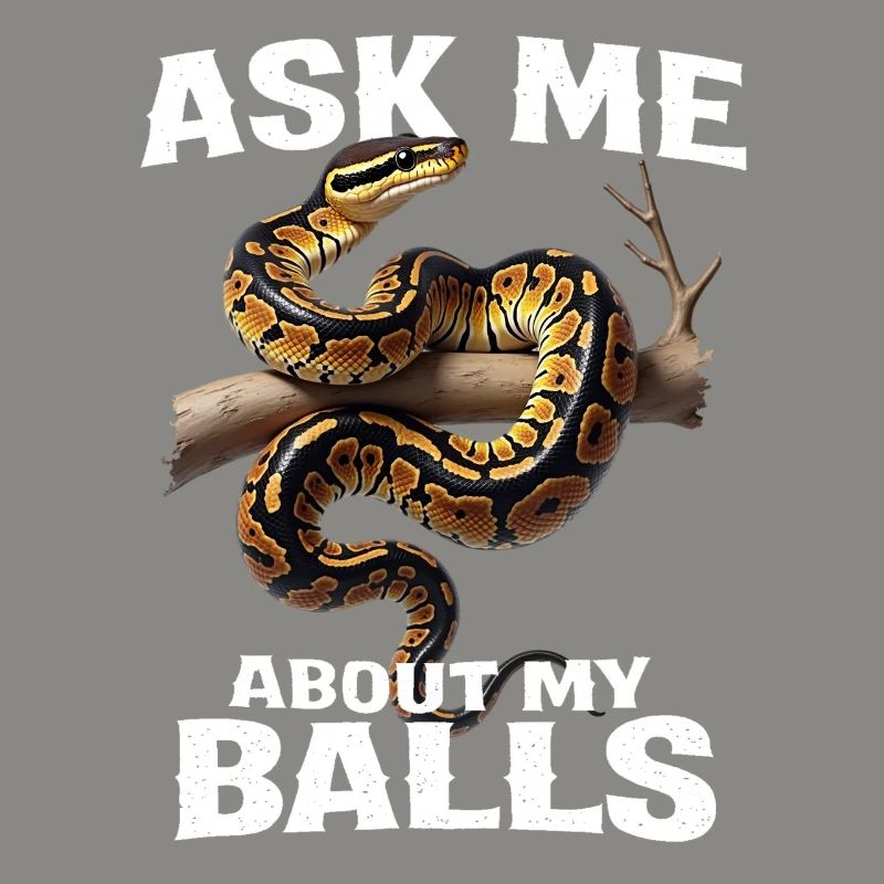 Königspython Schlangen Liebhaber Terrarium Python