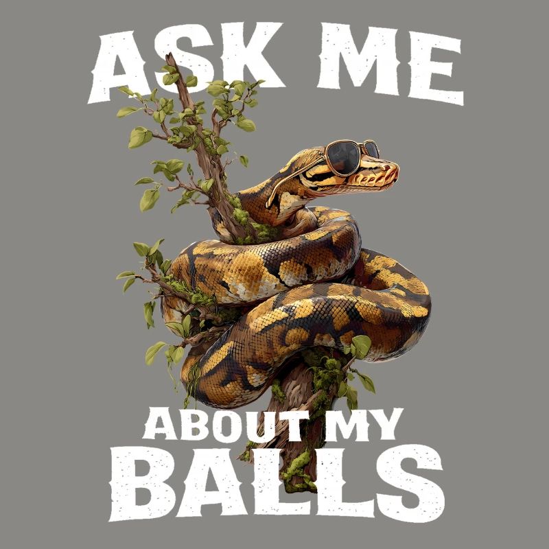 Königspython Schlangen Liebhaber Terrarium Python