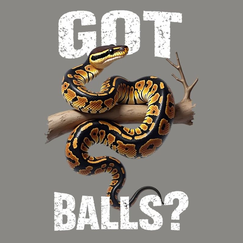 Python roi Serpents Amateurs de terrarium Python