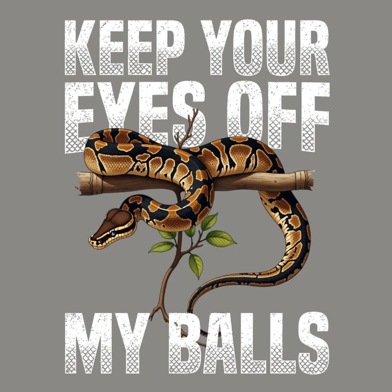 Königspython Schlangen Liebhaber Terrarium Python