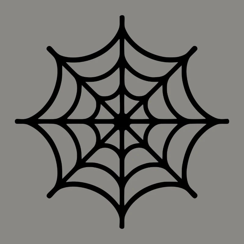Spider Web Spider