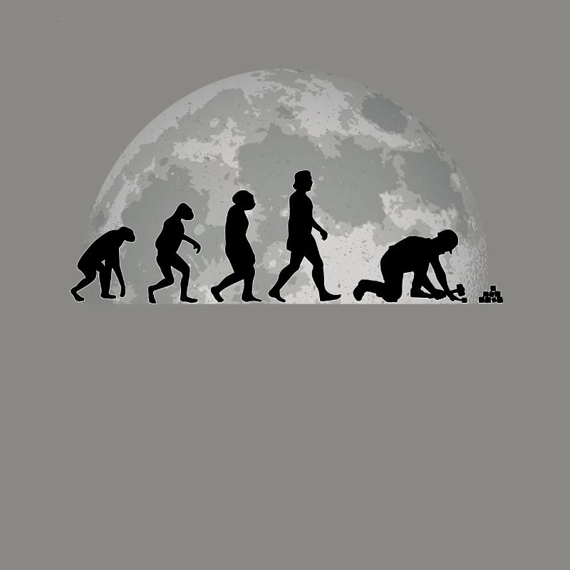 Pavage Evolution Lune Pierre Cadeau