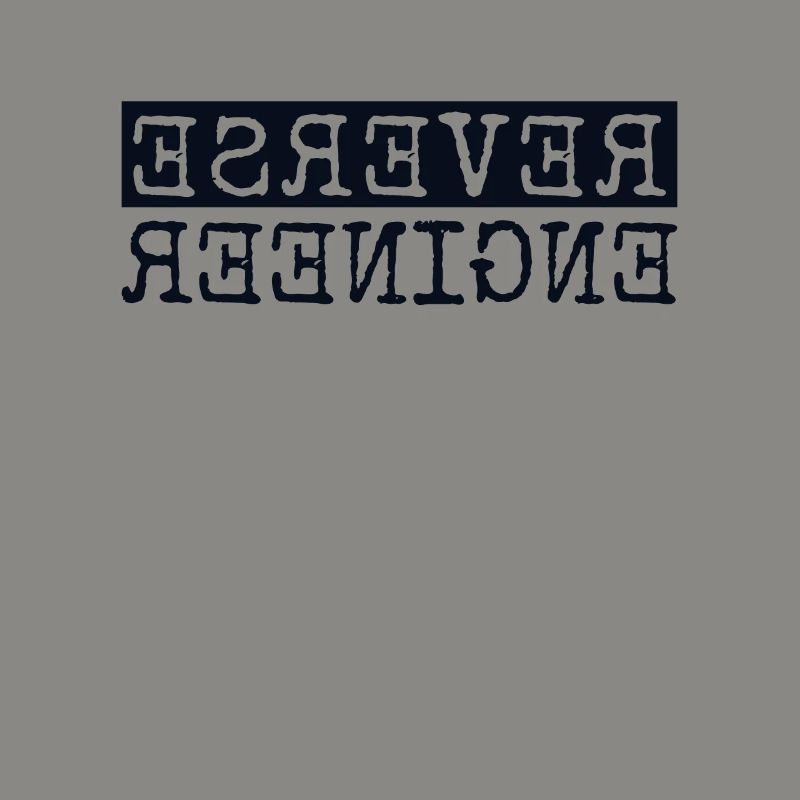 Reverse Engineer Softwareingenieur Developer