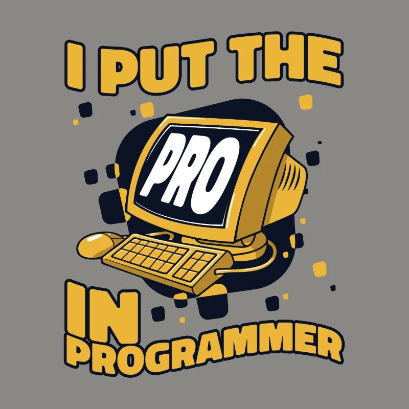 J’ai mis le pro dans Programmeur Developer Coder