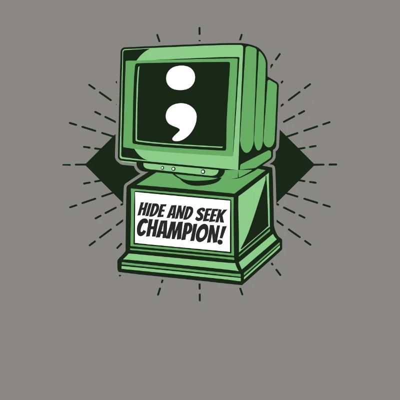 Hide And Seek Champion Softwareingenieur Coder