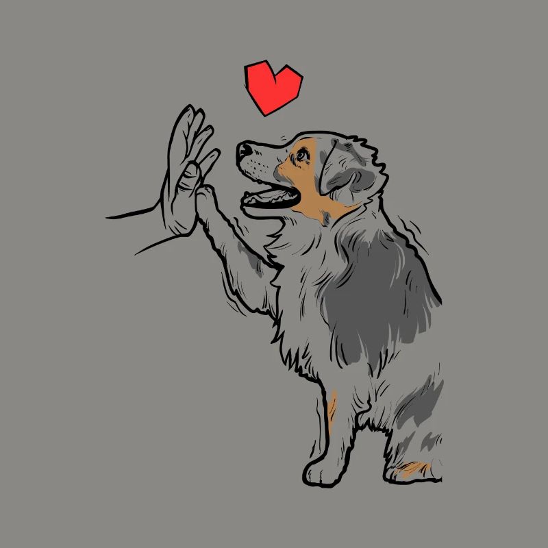 Australian Shepherd Niedlich Australian Shepherd
