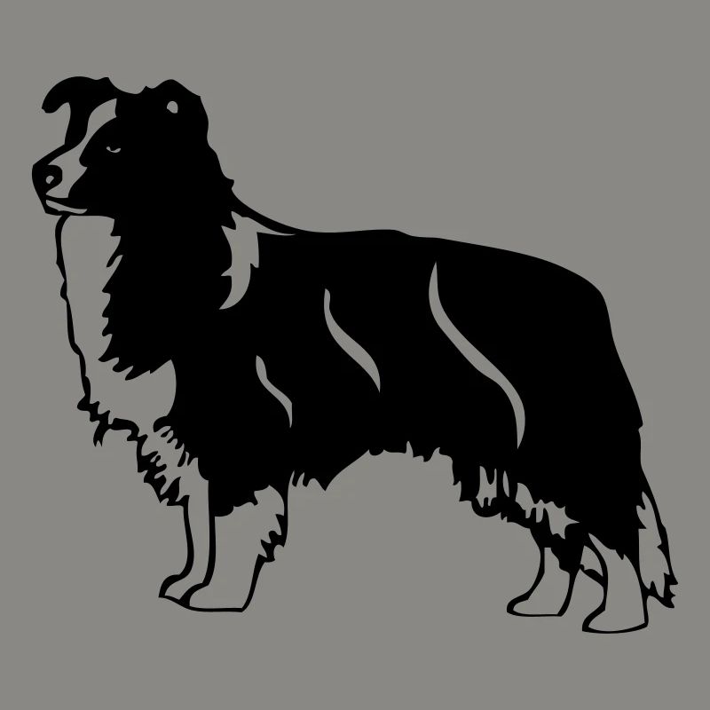 bordercollie02