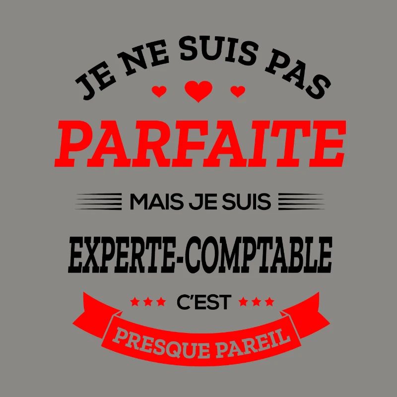 EXPERTE-COMPTABLE PARFAITE
