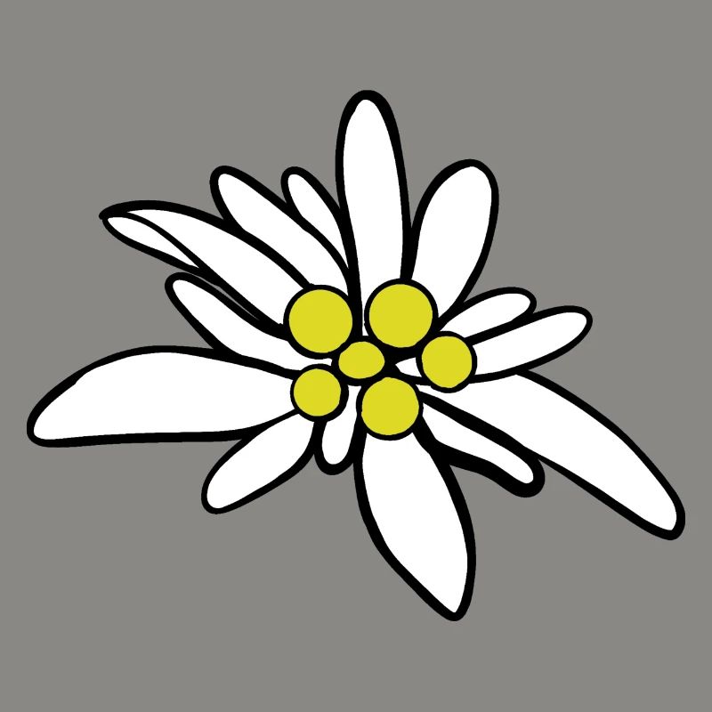 Edelweiß 1