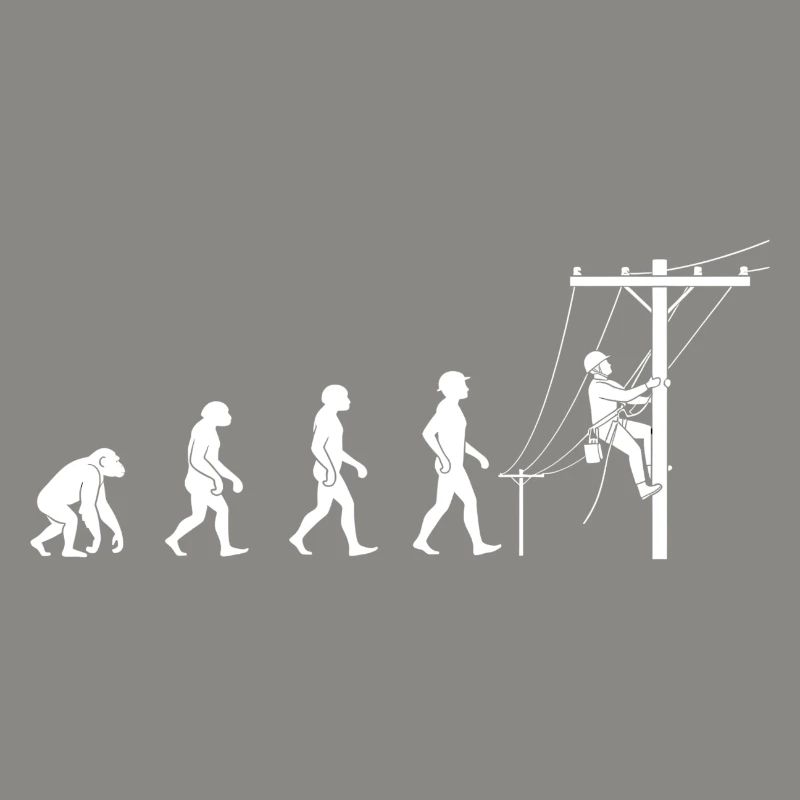 Evolution zur Netztechnik