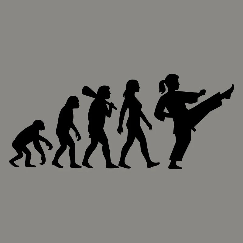 Karate Evolution