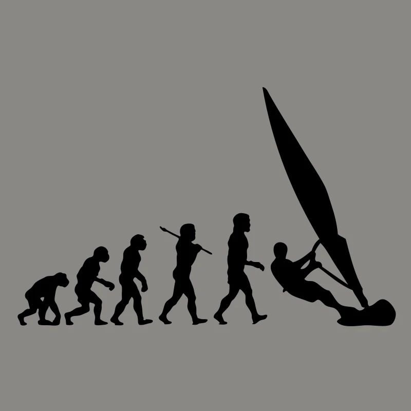 ws01 windsurf evolution