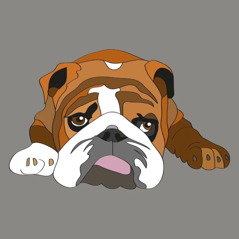 bouledogue