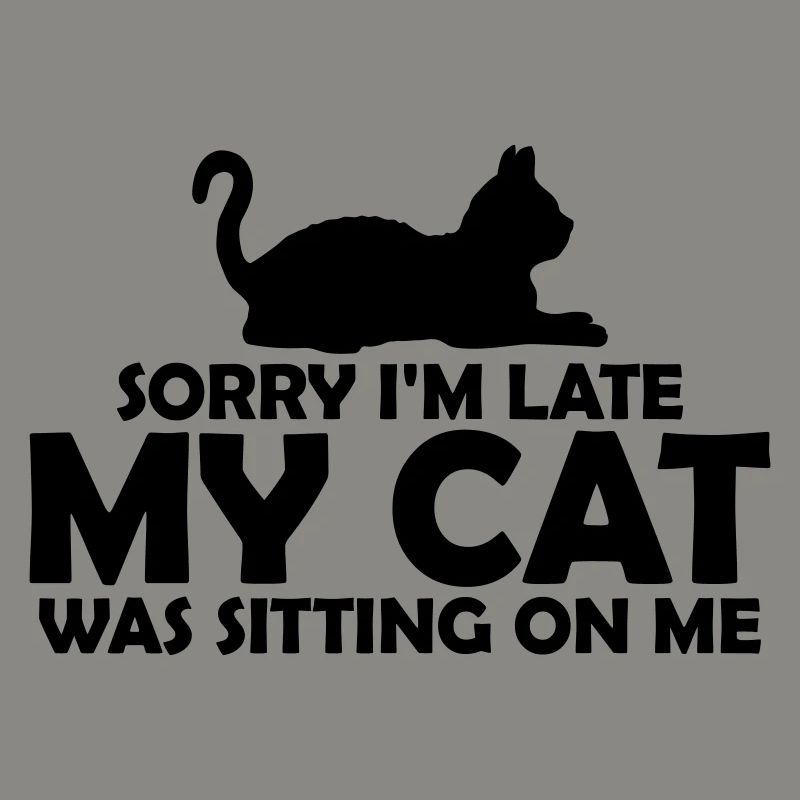 désolé chat était assis