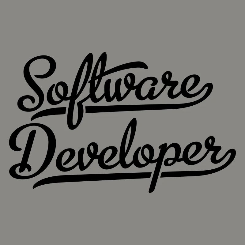 Software Developer