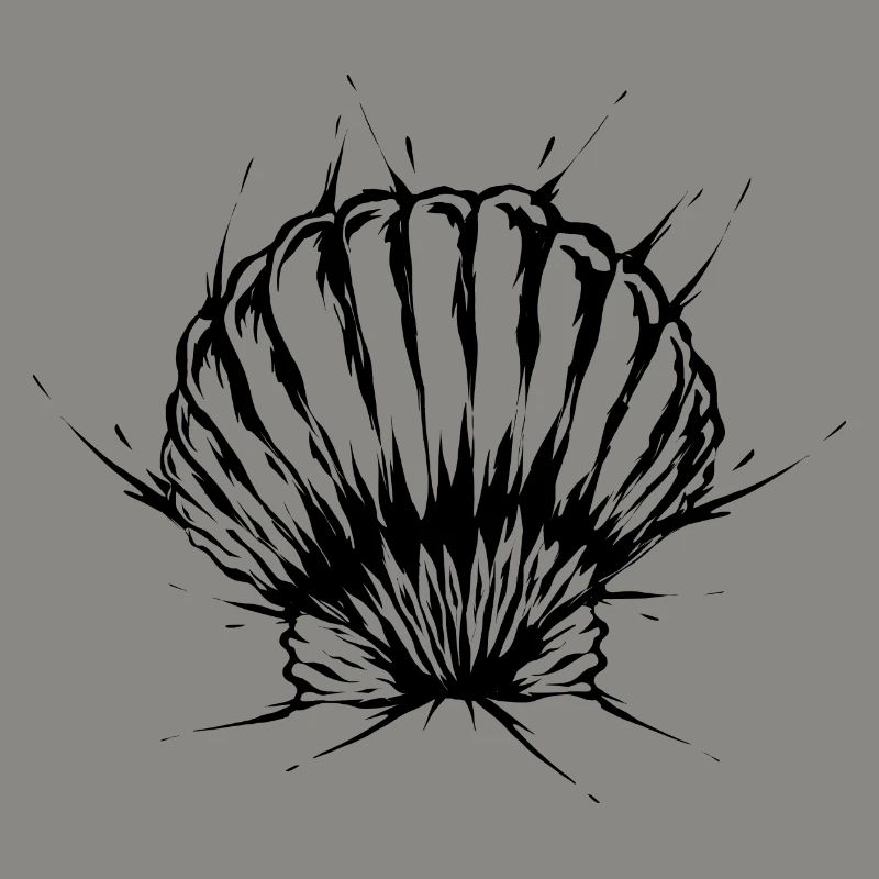 Shell Beach Vacances
