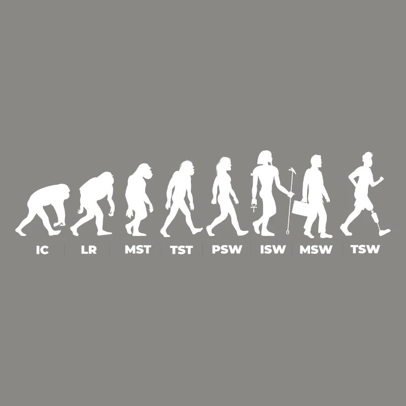 The Evolution & the Gait Cycle (gOT it!)