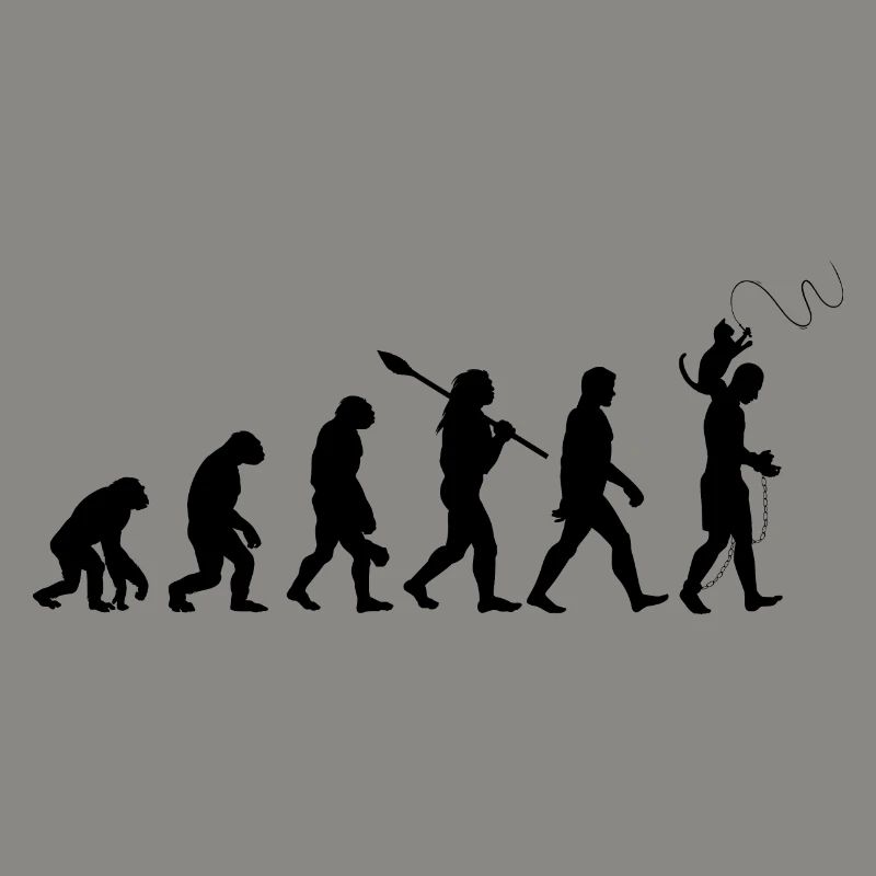 L'évolution du chat