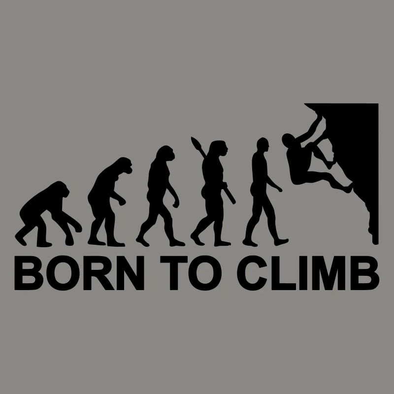 Évolution Escalade