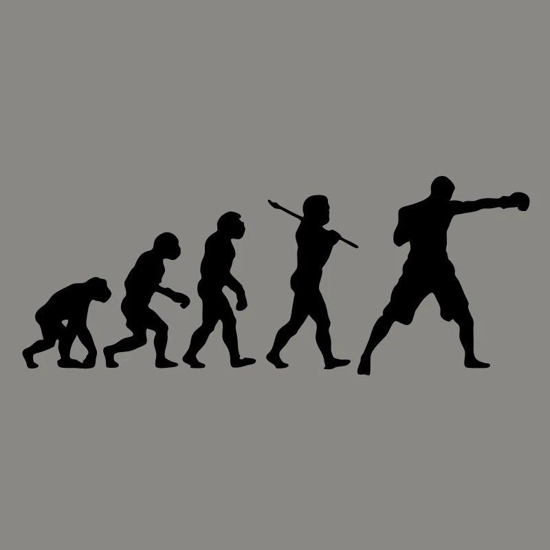 Boxing Evolution