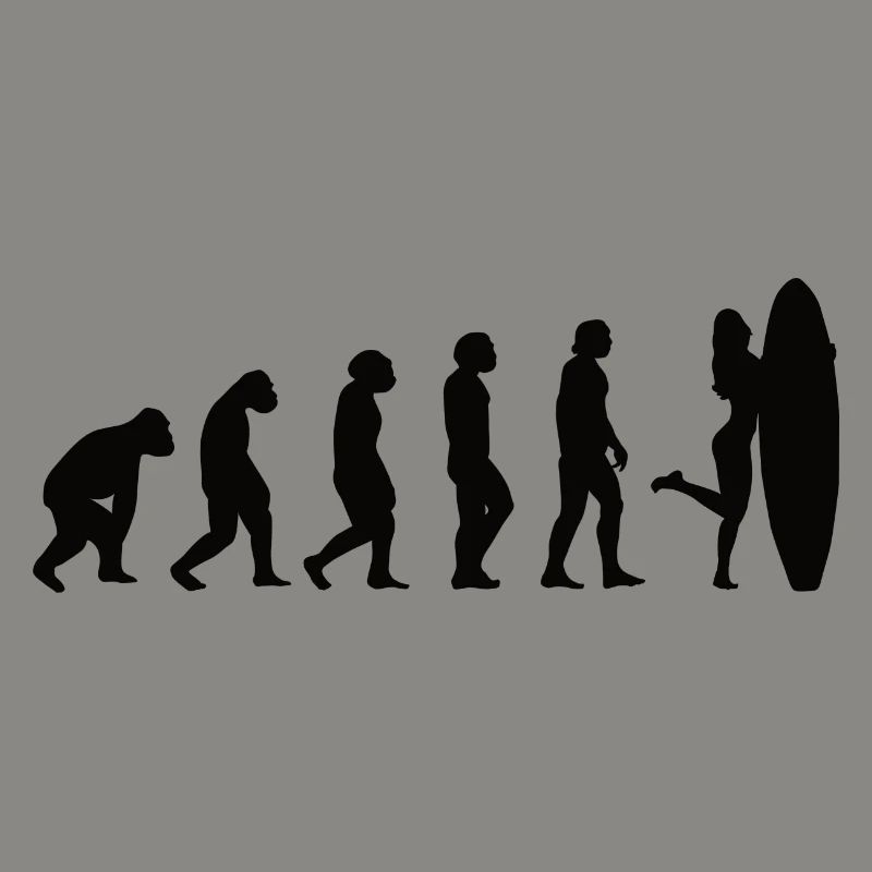 Surfer Surfboard Surf Evolution Surf