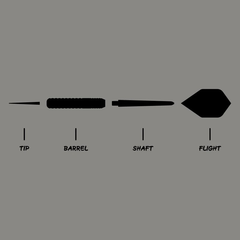 Explication de la fléchette Anatomie Conception de la fléchette