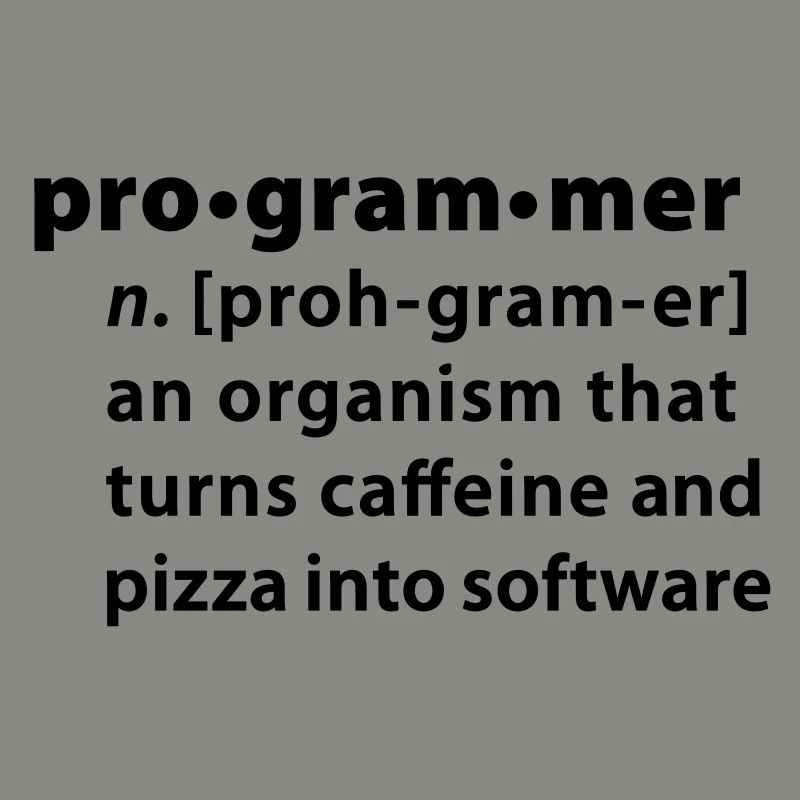 Programmer dictionary definition