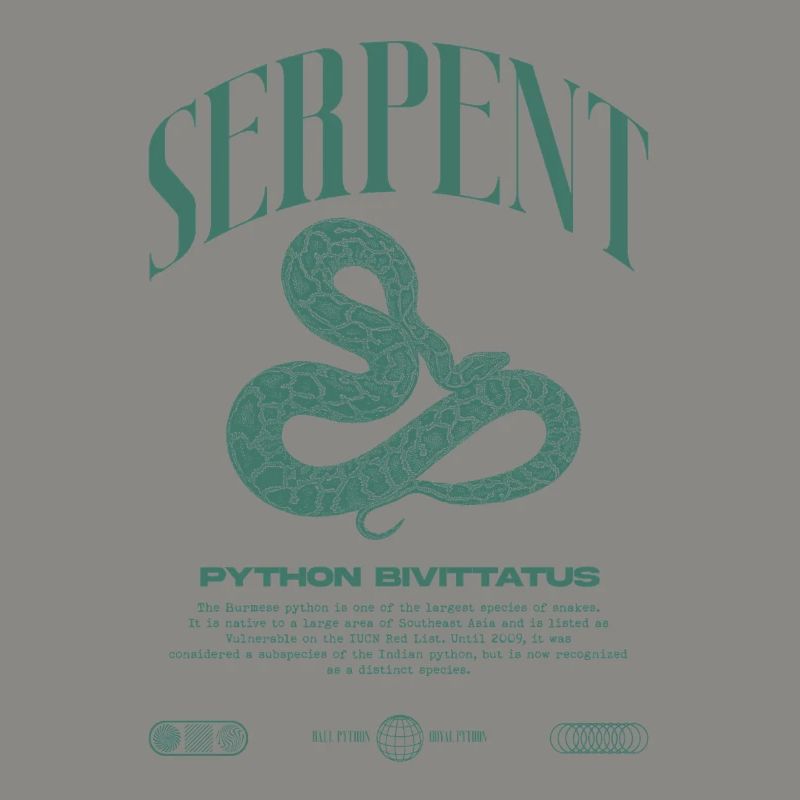 Burmese Python Modern Reptile Keeper Streetwear