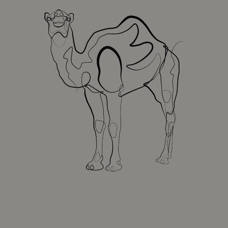 Kamel Domedar - one line drawing