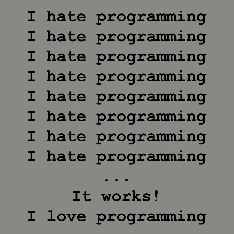 Developer computer scientist