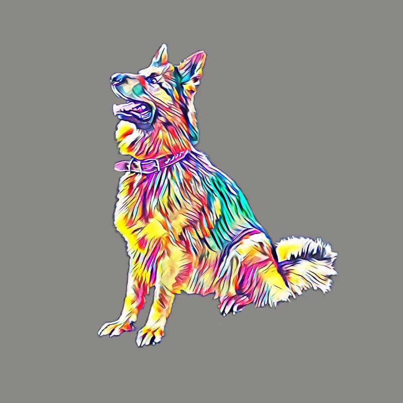 German Shepherd