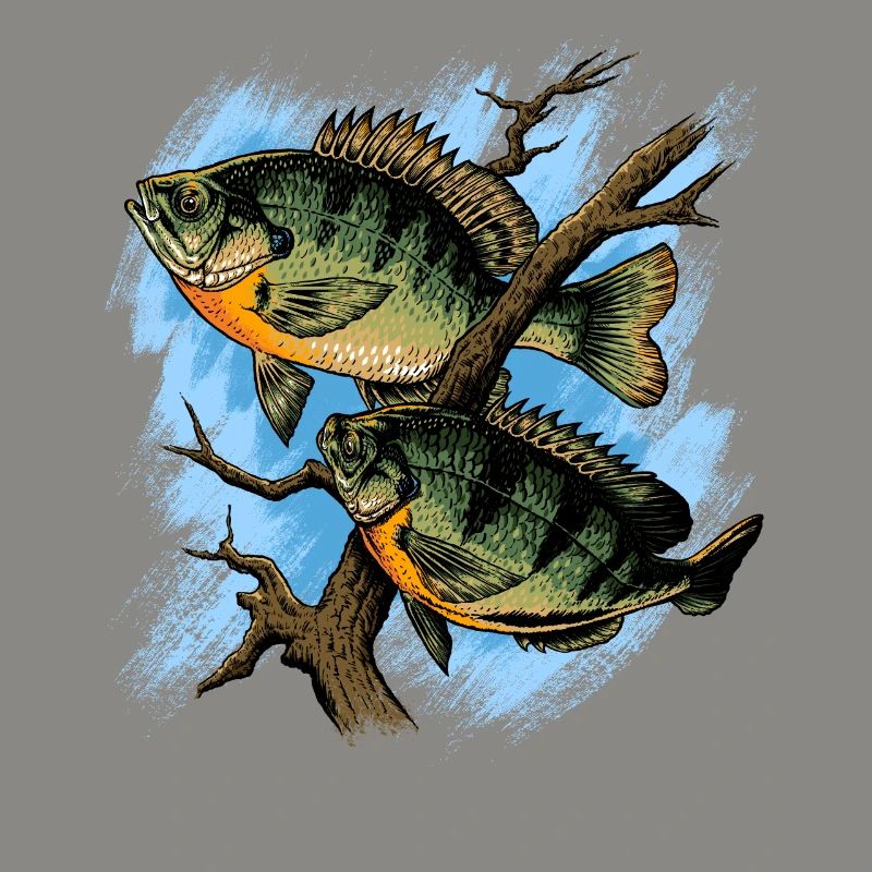 Crapet Arlequin Illustration Pêche Pullover conception