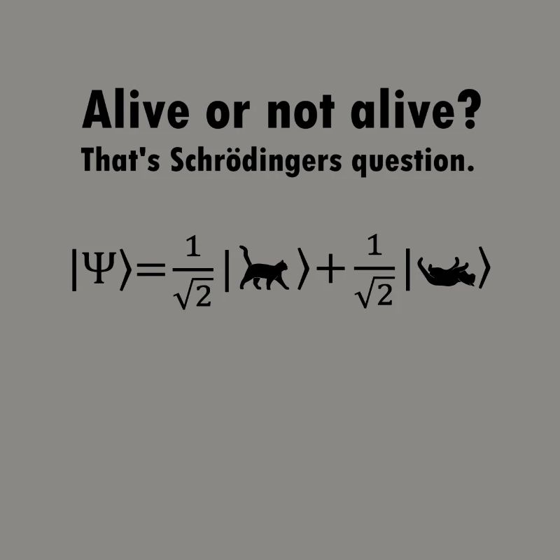 Schrödinger's Cat - Physicist Gift Physics Nerd