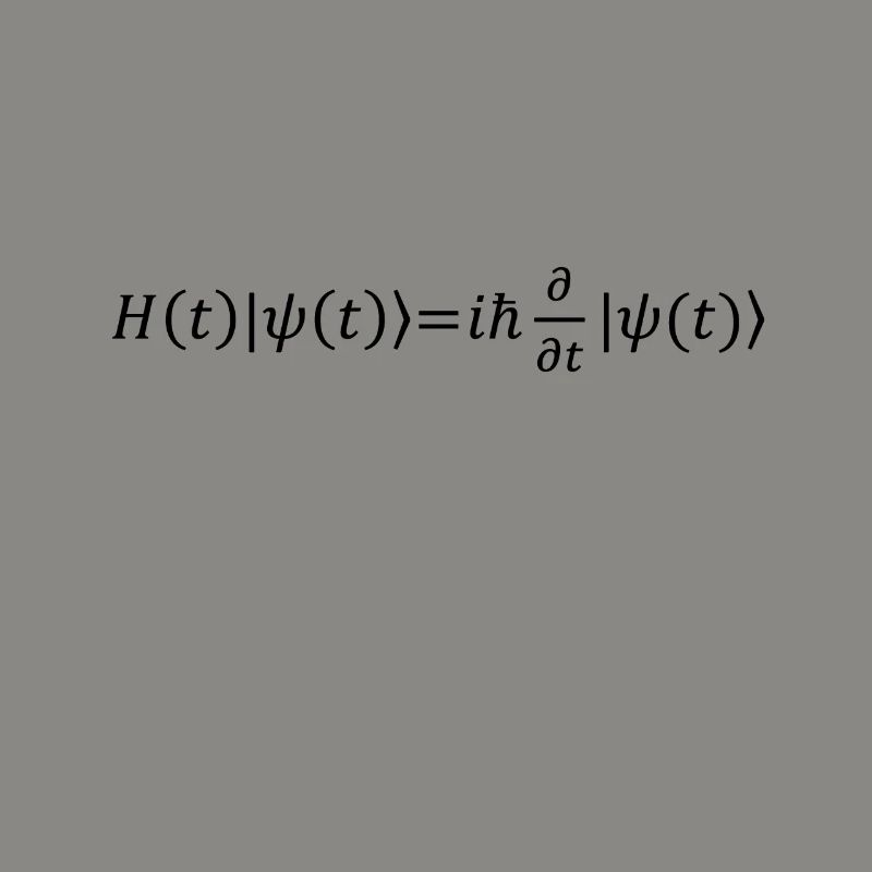 Schrödinger Equation Physicist Gift Physics