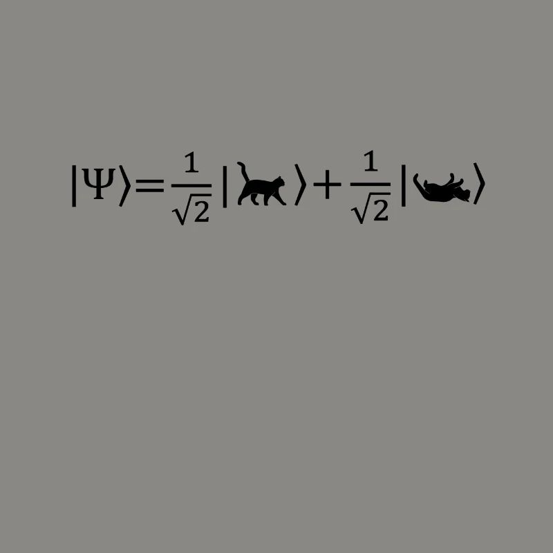 Schrödinger's Cat - Physicist Gift Physics Nerd