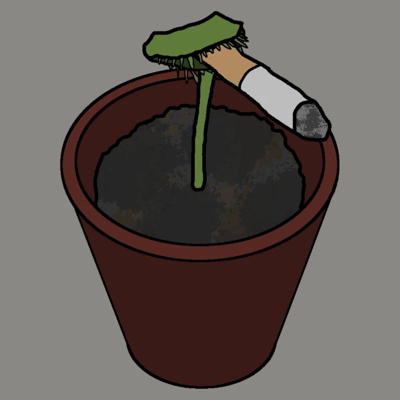 Venus Flytrap with Cigarette