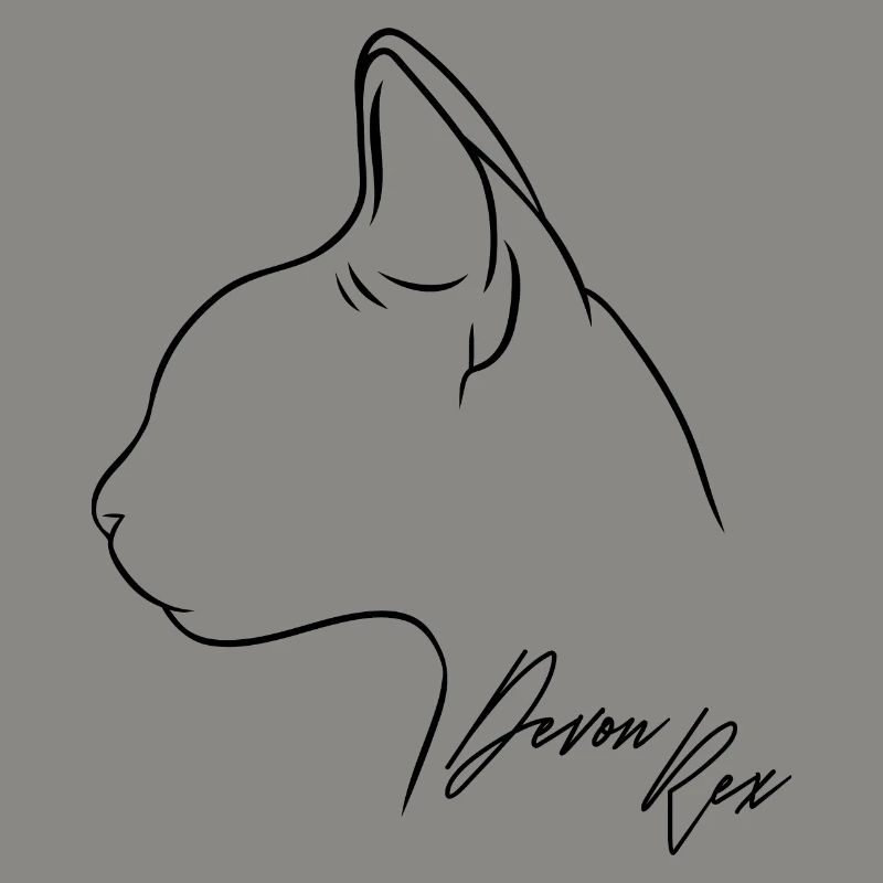 Devon Rex Profil Chat Chat Wilsigns