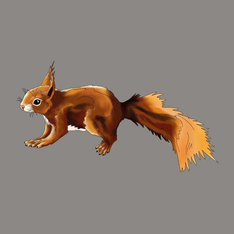 Squirrel 3