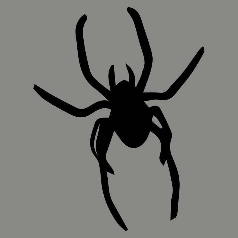 spider
